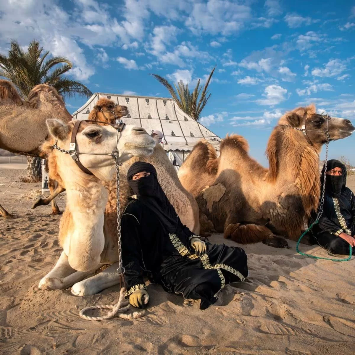 full day huacachina desde lima tubulares sandboard